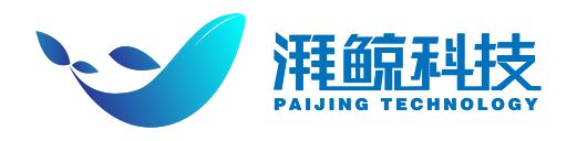 湃鲸网络科技（上海）股份有限公司